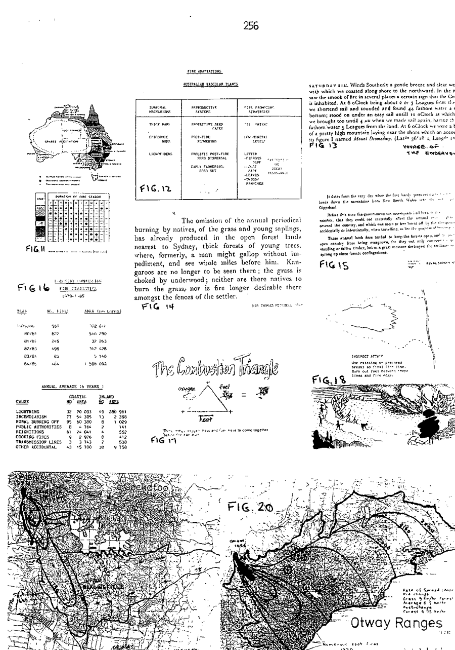1986 Page 256